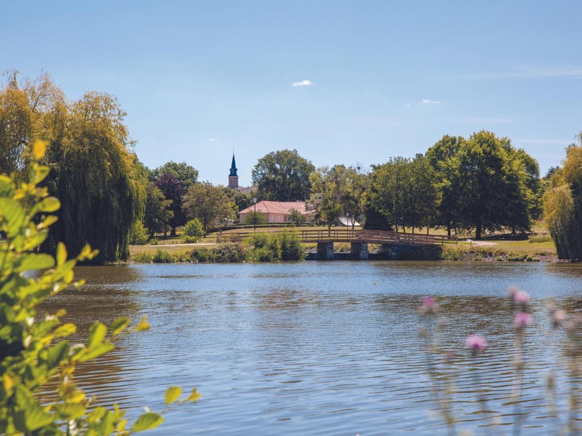 Vue sur la rivière ou le fleuve situé(e) à proximité de l'hôtel