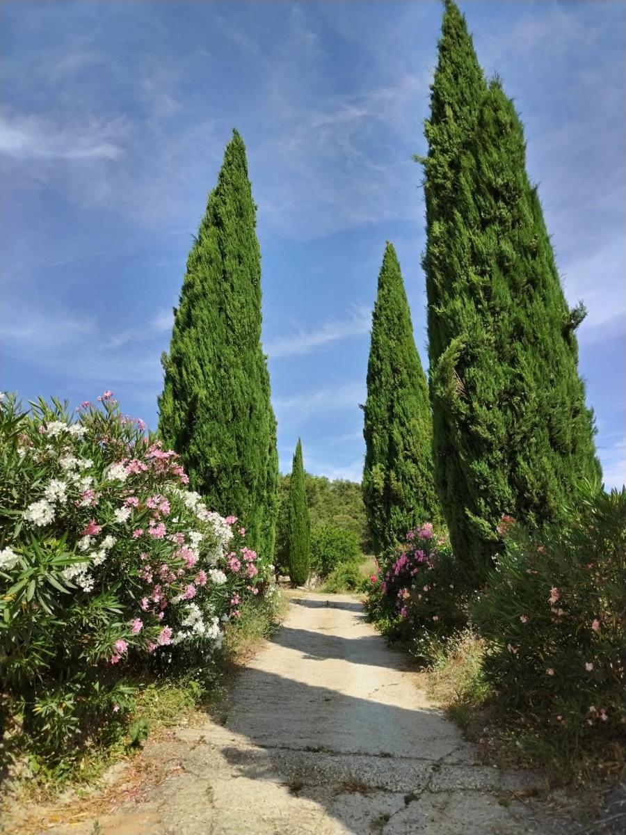 Maison Chemin d'Uzès - Housity