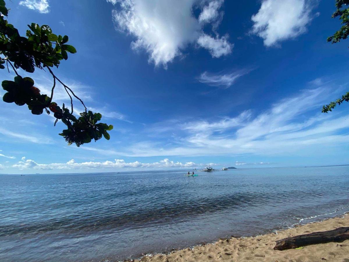 Glamping Dome Dauin Beach Resort - Housity