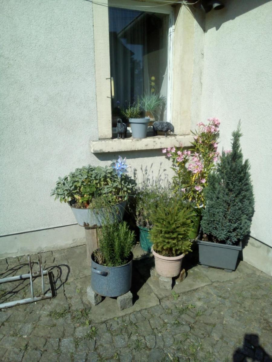 Ferienwohnung Monteurzimmer Bretnig WiFi Waschmaschine Parklpatz kostenlos - Housity