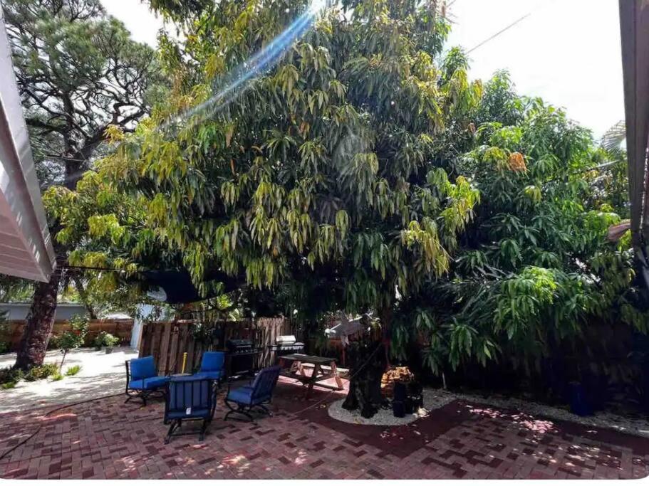 TinyShell Studio 5 min to beach - Housity