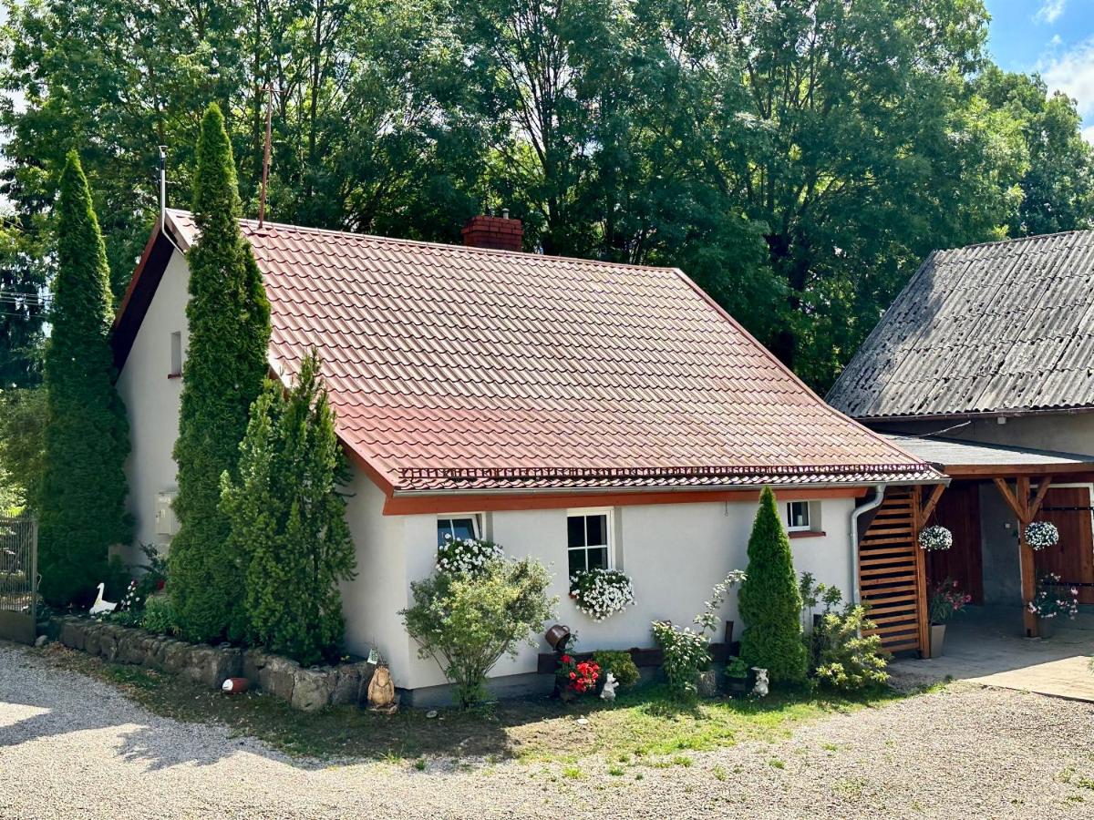 Agroturystyka u Beci - Housity