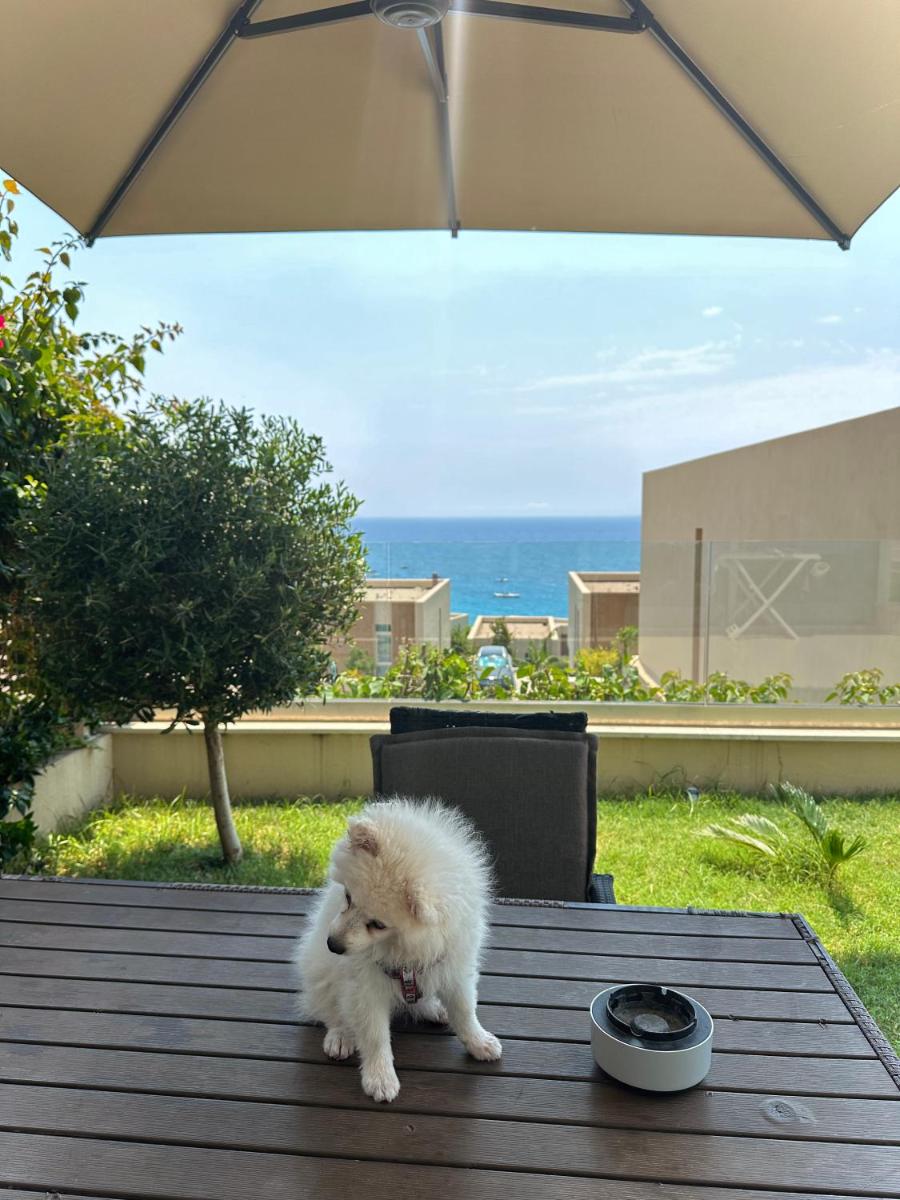 Pacific 2 Bedroom Villa Palase - Housity