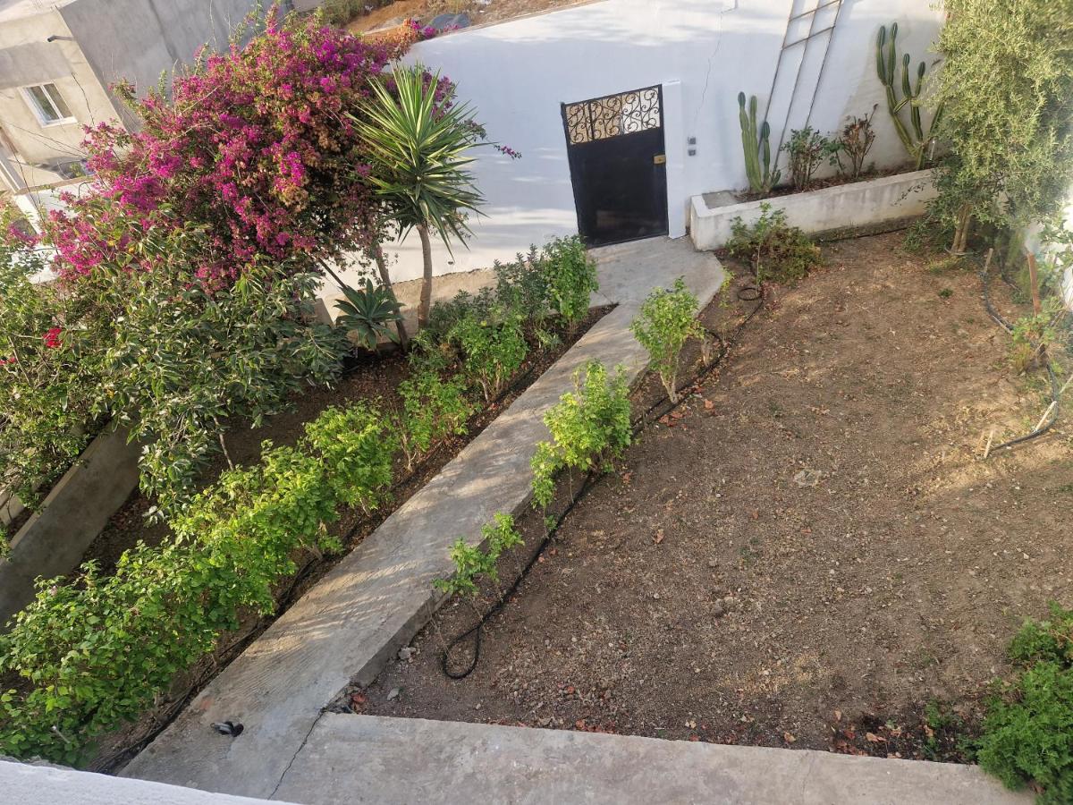 Nefza tabarka - Housity