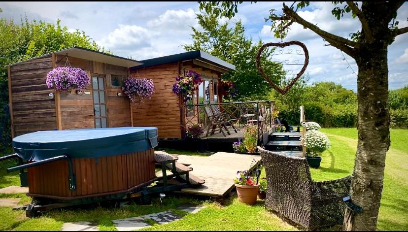 Cherry Tree Glamping Lodge - Housity