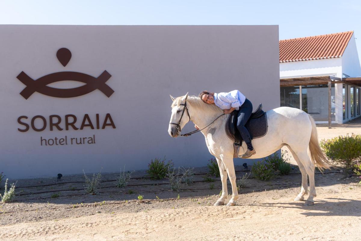 Animais no hotel ou nos arredores