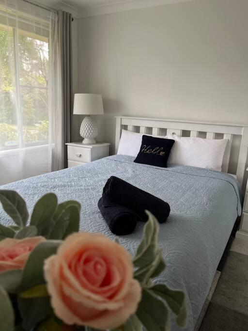 Perfectly located house with a big backyard. - Housity