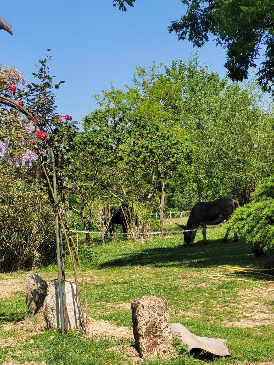 pey sud gaua - Housity