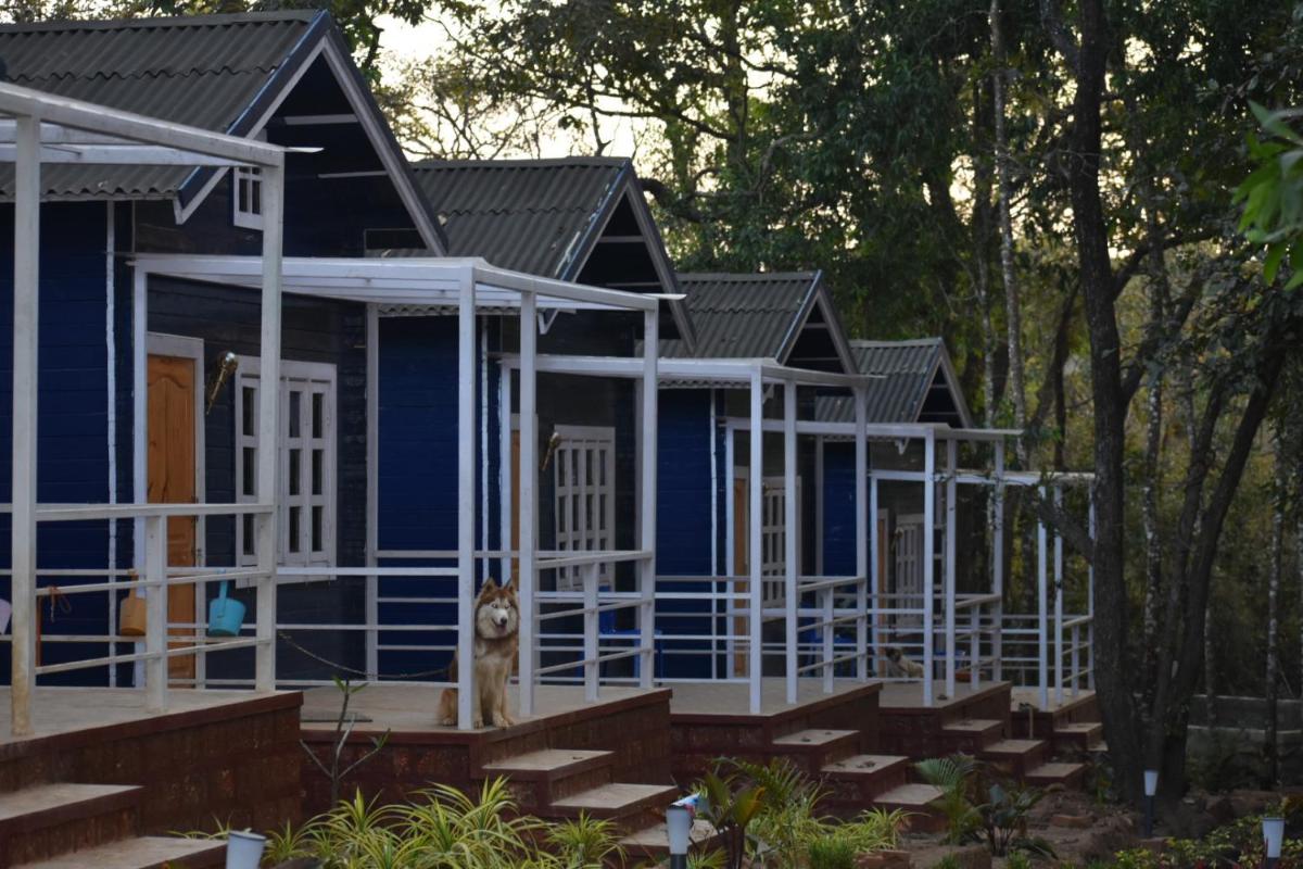 Kalarava Forest in - Housity