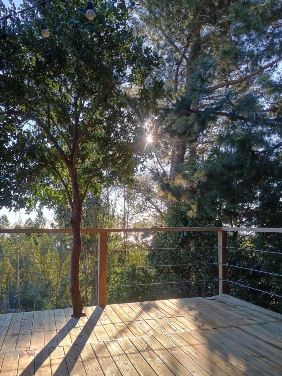 Alto Curanipe - Housity