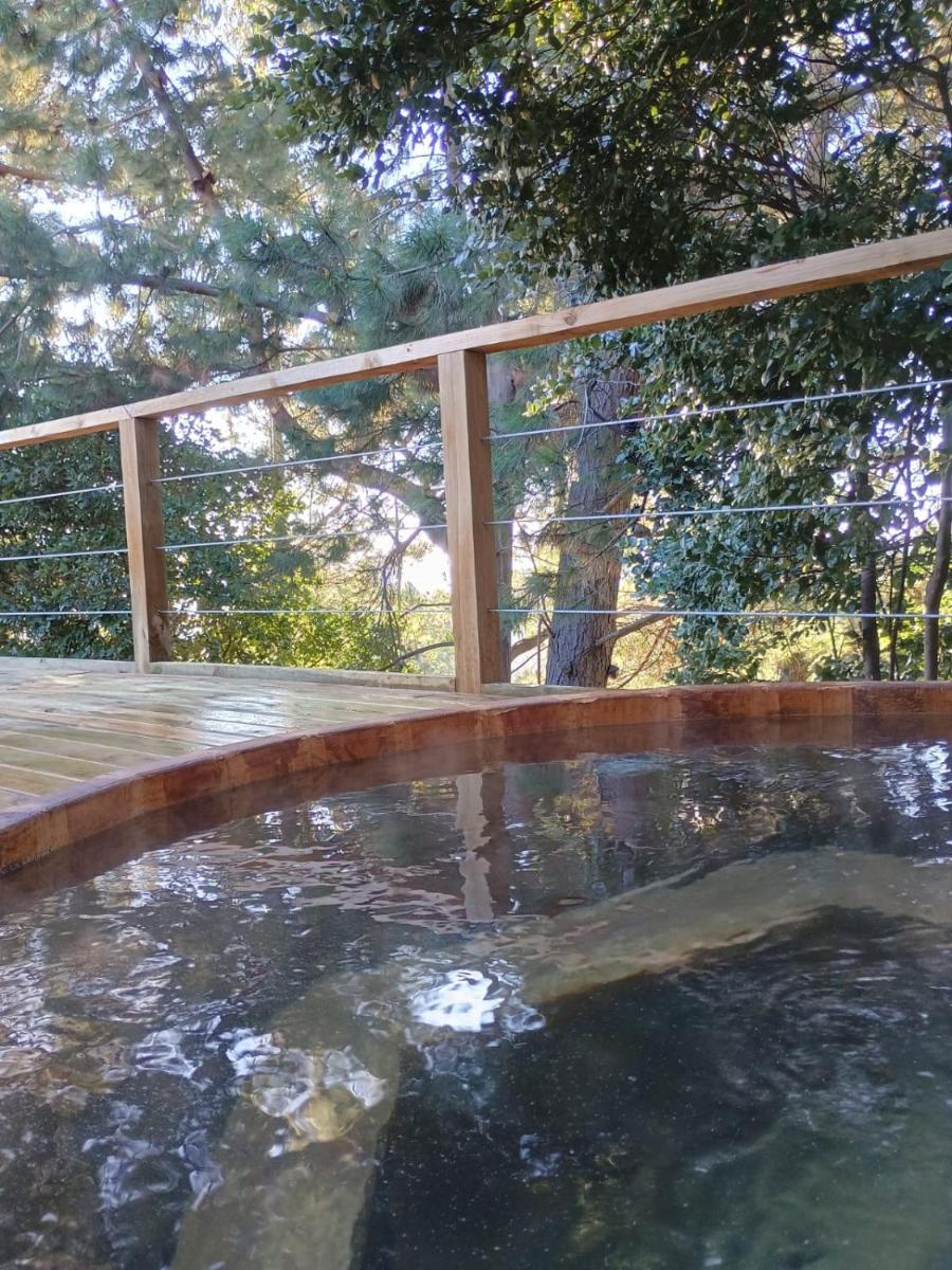 Alto Curanipe - Housity