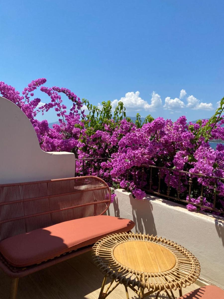 Balcon ou terrasse dans l'établissement Hotel Riva Beach