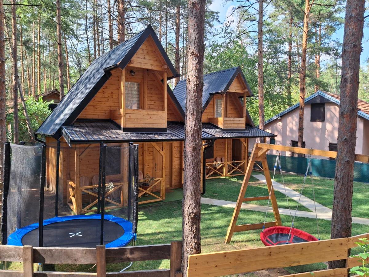Brvnare Borove iglice - Housity