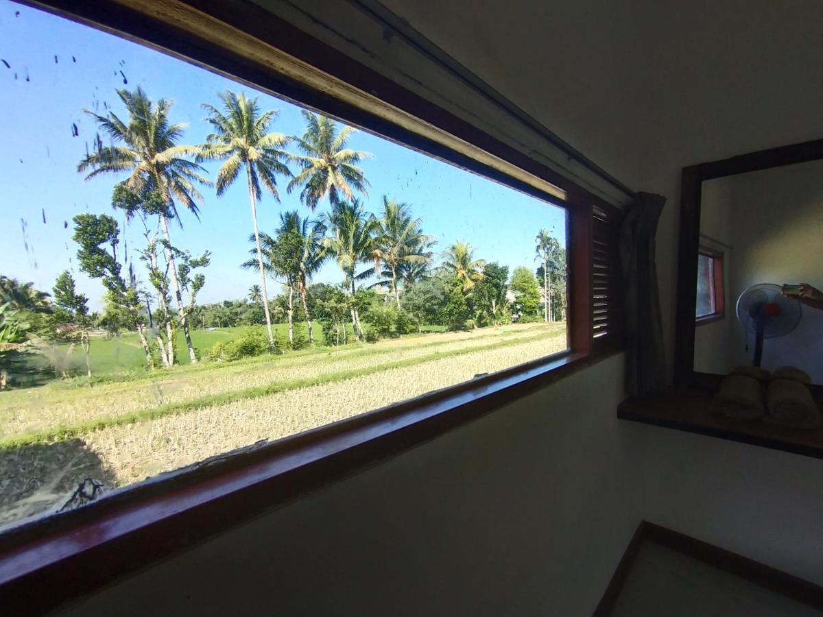 Rumah Daun Homestay Tetebatu - Hizvo