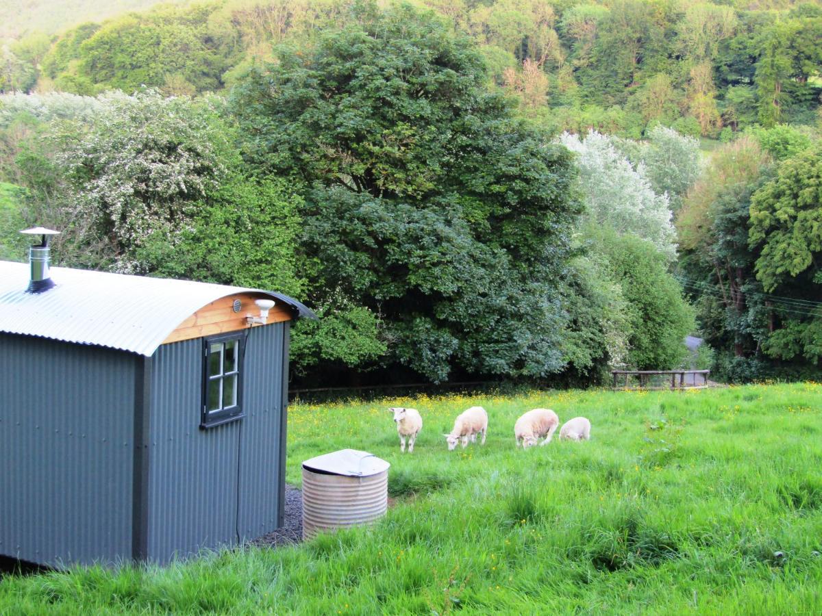 Shepherds Hut Slad Valley Cotswolds - Housity