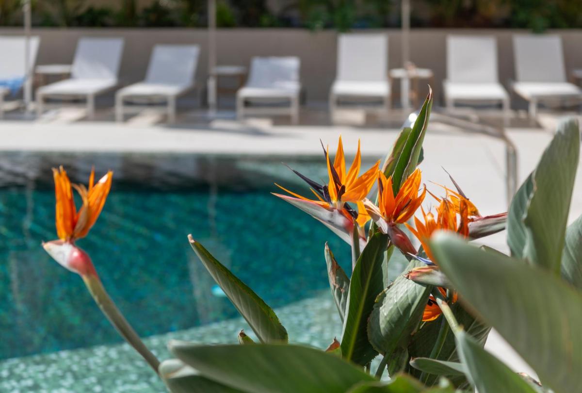Piscina en o cerca de AQUA Hotel Promenade & Spa 4Sup