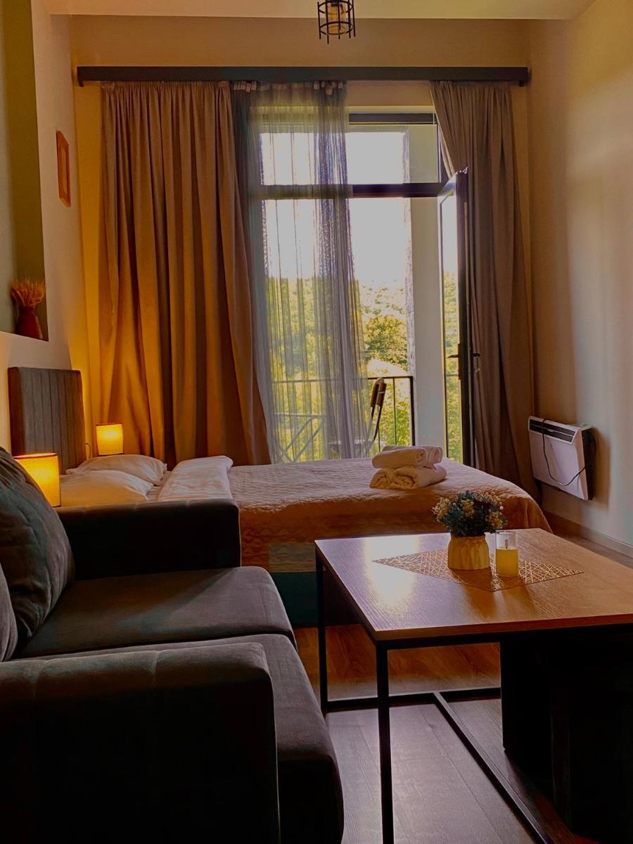 Apartment #102 in aparthotel - Hizvo