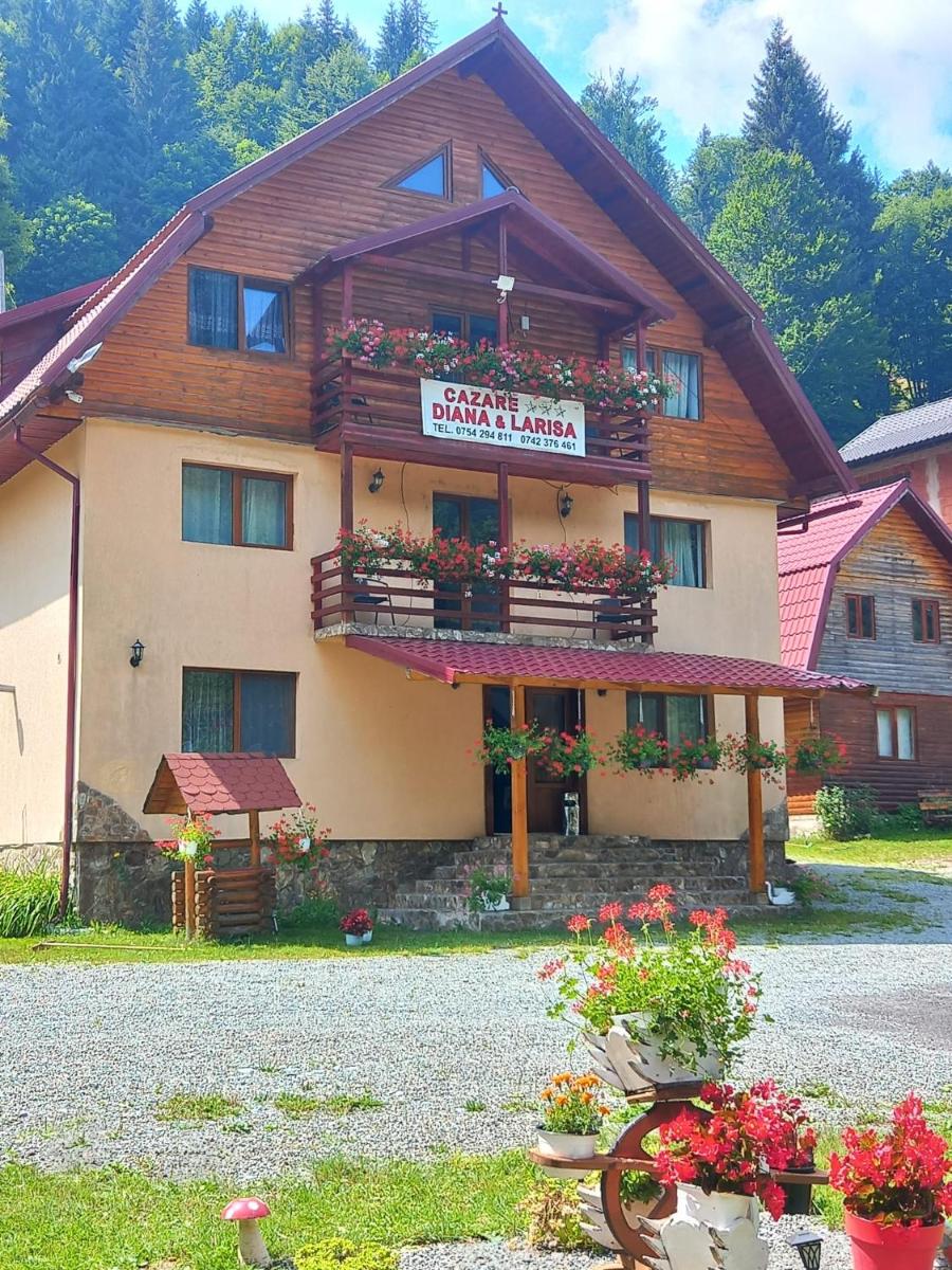 Cabana Diana&Larisa - Housity