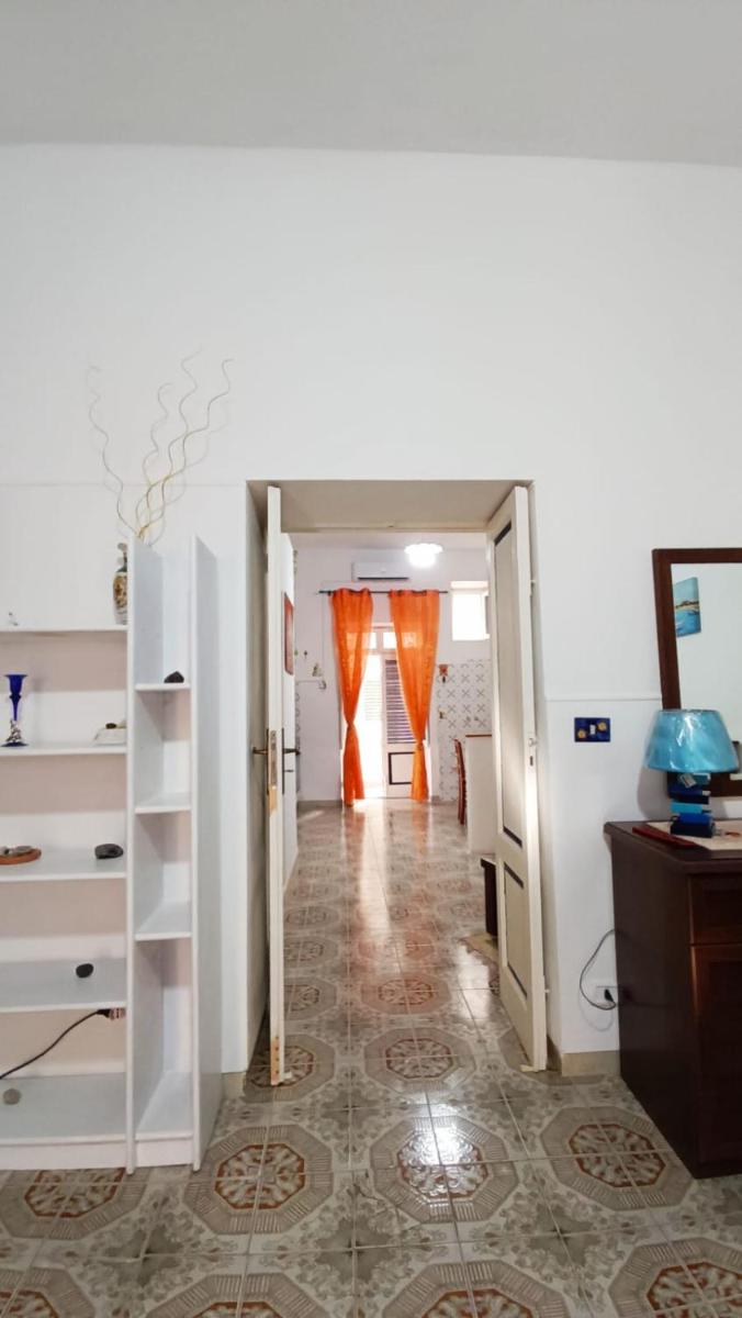 Domus Apollo - Housity