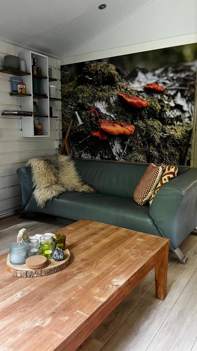 Dreamwoodz - een droomchalet op de Veluwe - Housity