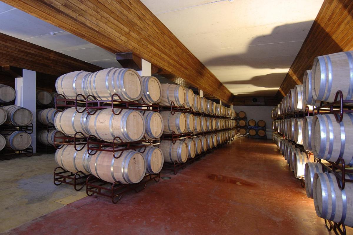 Imagem da galeria de Vila Gale Alentejo Vineyard - Clube de Campo em Albernoa