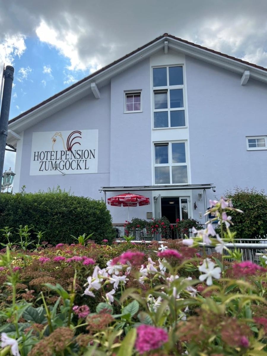 Hotelpension zum Gockl - Housity