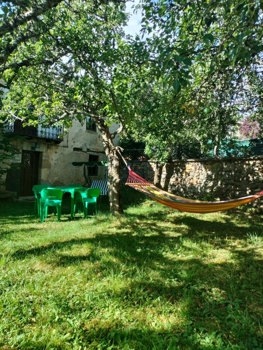 CASA DAMIAN - Housity