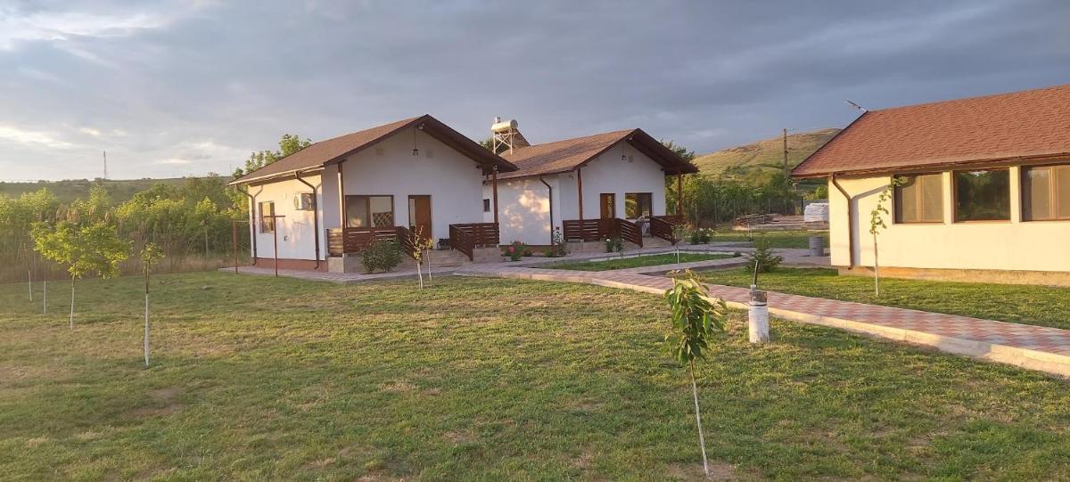 Zander House - Housity