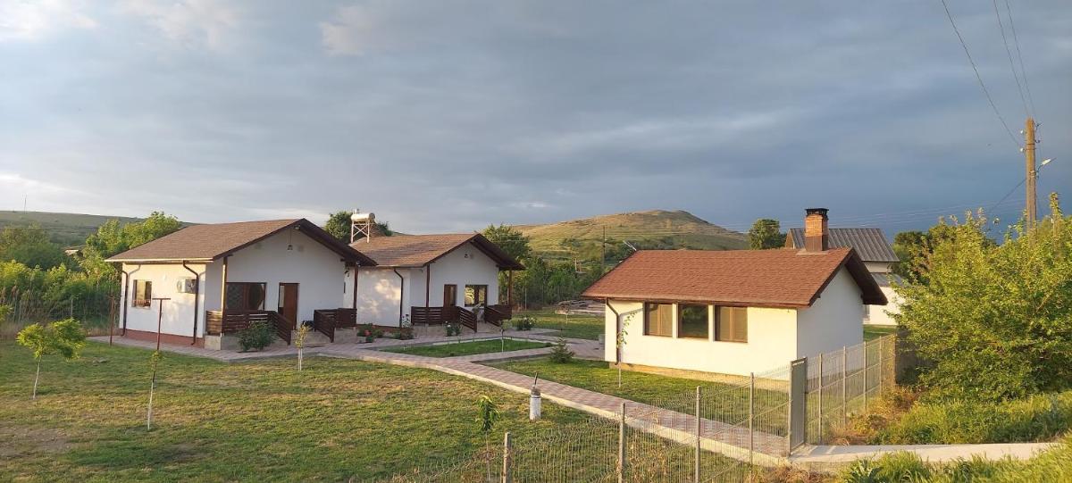 Zander House - Housity