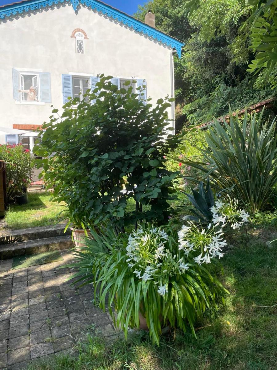Les Agapanthes - Housity
