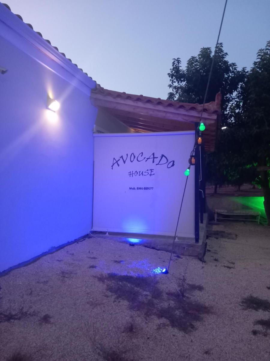 Avocado house - Housity
