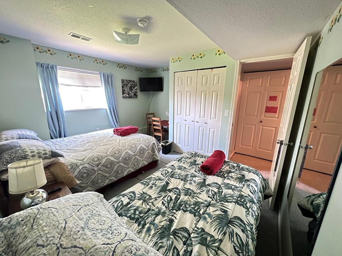 Anita's Homestay - Bedroom On Ground Floor With Backyard Is Downstairs - Housity