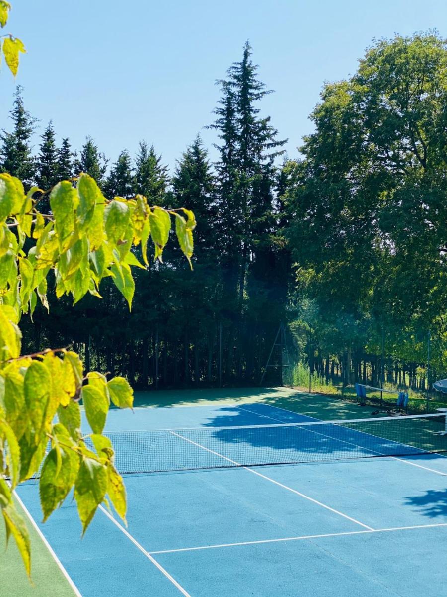 Tennis ou squash au sein de l'hôtel ou à proximité