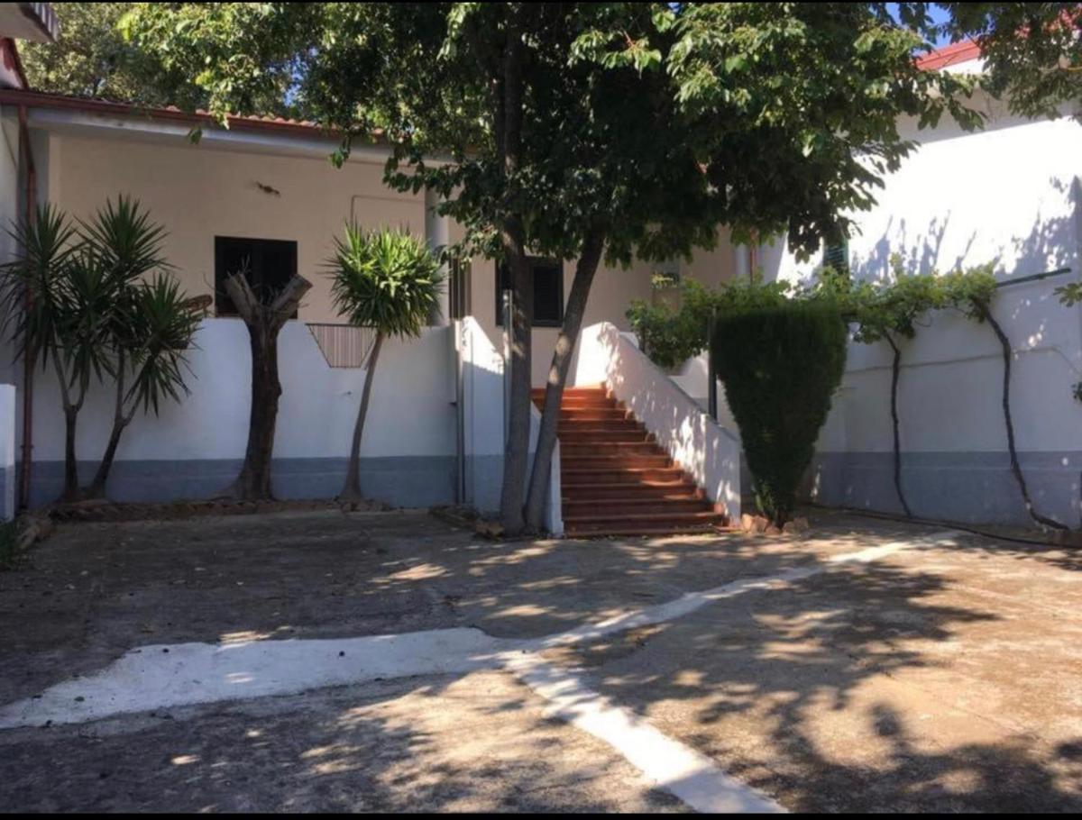Villa Paladino - Housity