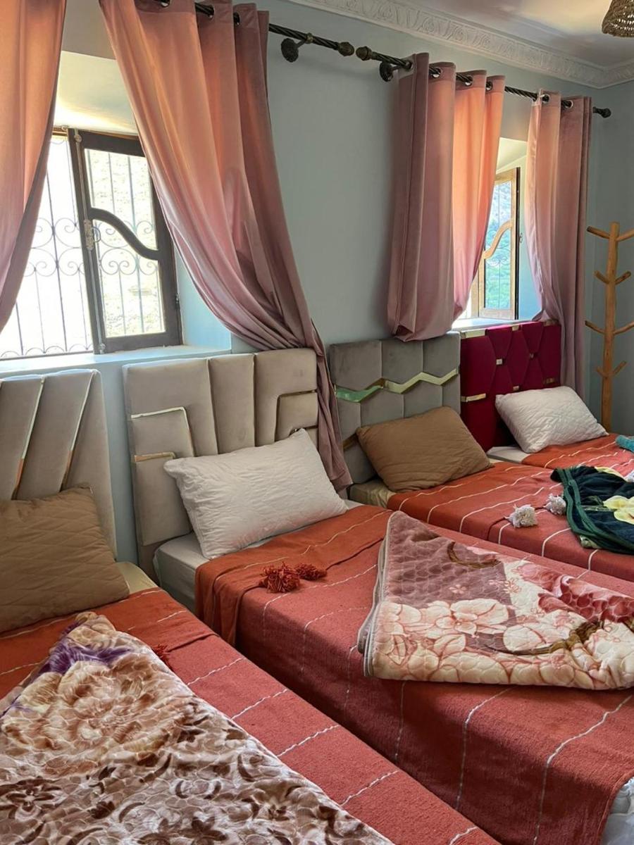 da housa hostel - Housity