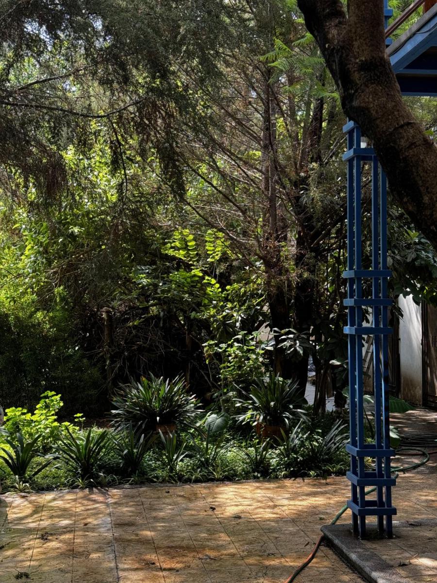 Magnolias Jardin & Boutique Suites - Housity