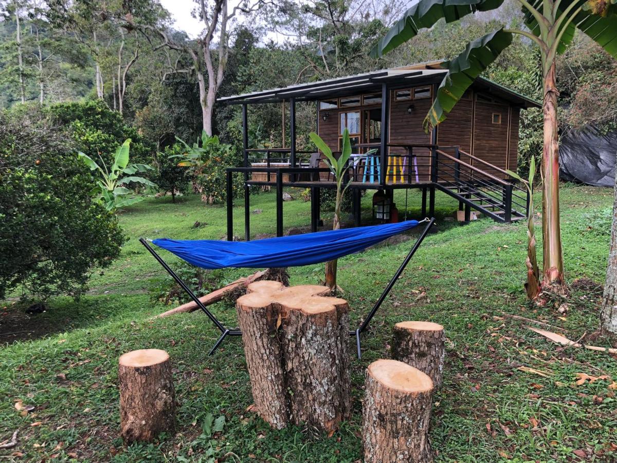 Cabaña tipo glamping en finca cafetera con zonas verdes, avistamiento de aves, paisaje cafetero - Housity