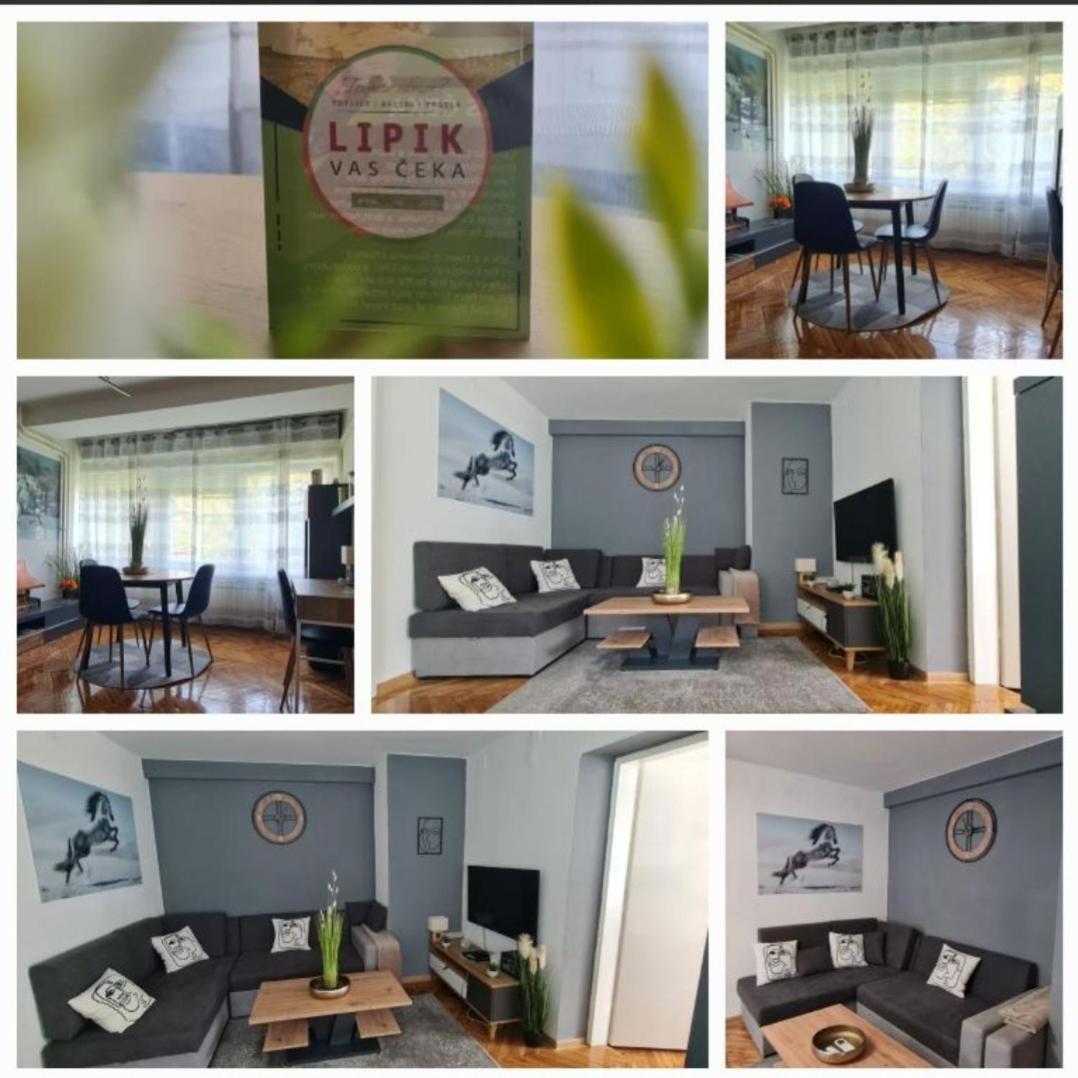 Marija Apartman - Housity