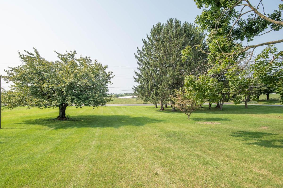 Pine Grove Cottage - Housity
