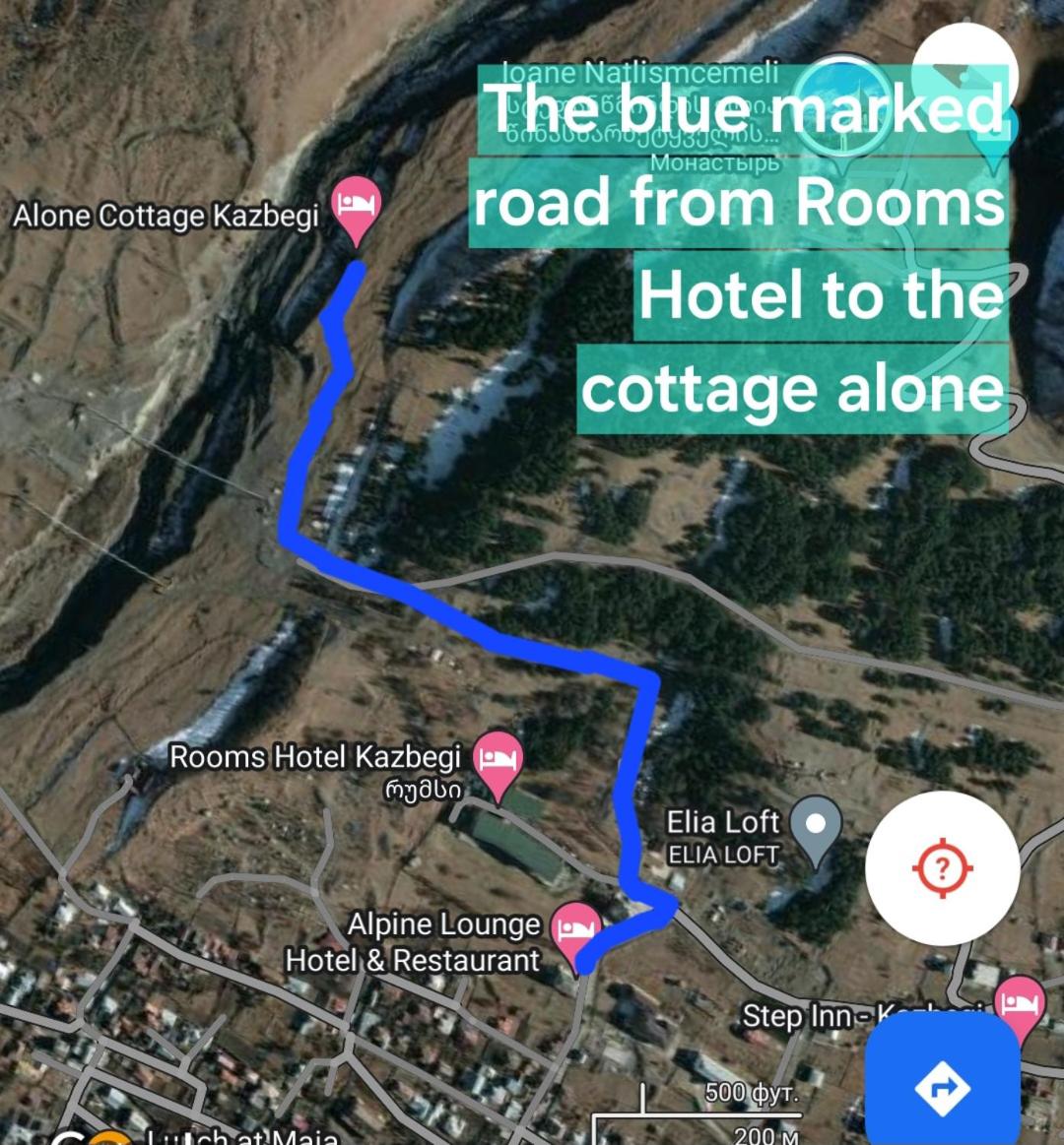 Alone Cottage Kazbegi - Housity