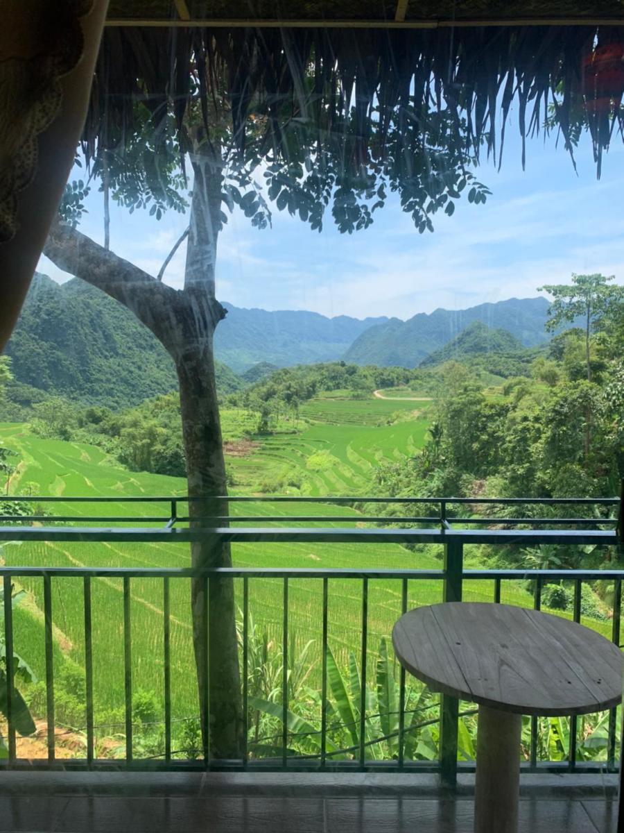 Puluong Aroma - Housity