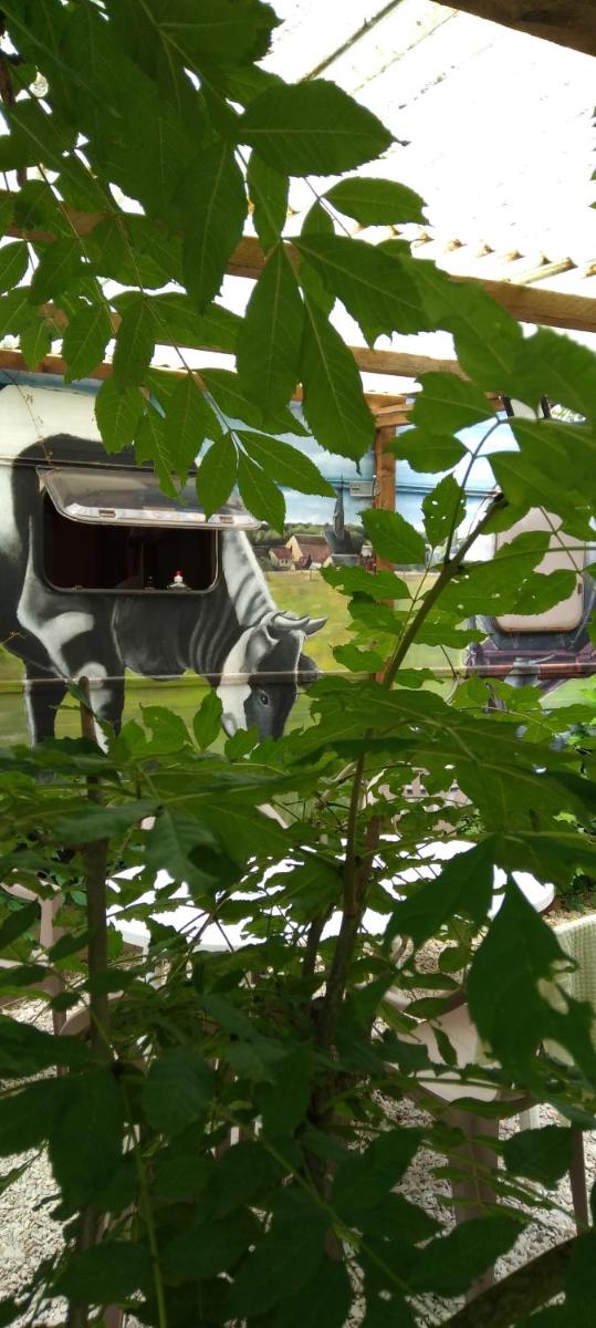 ferme pedagogique des pennetieres - Housity