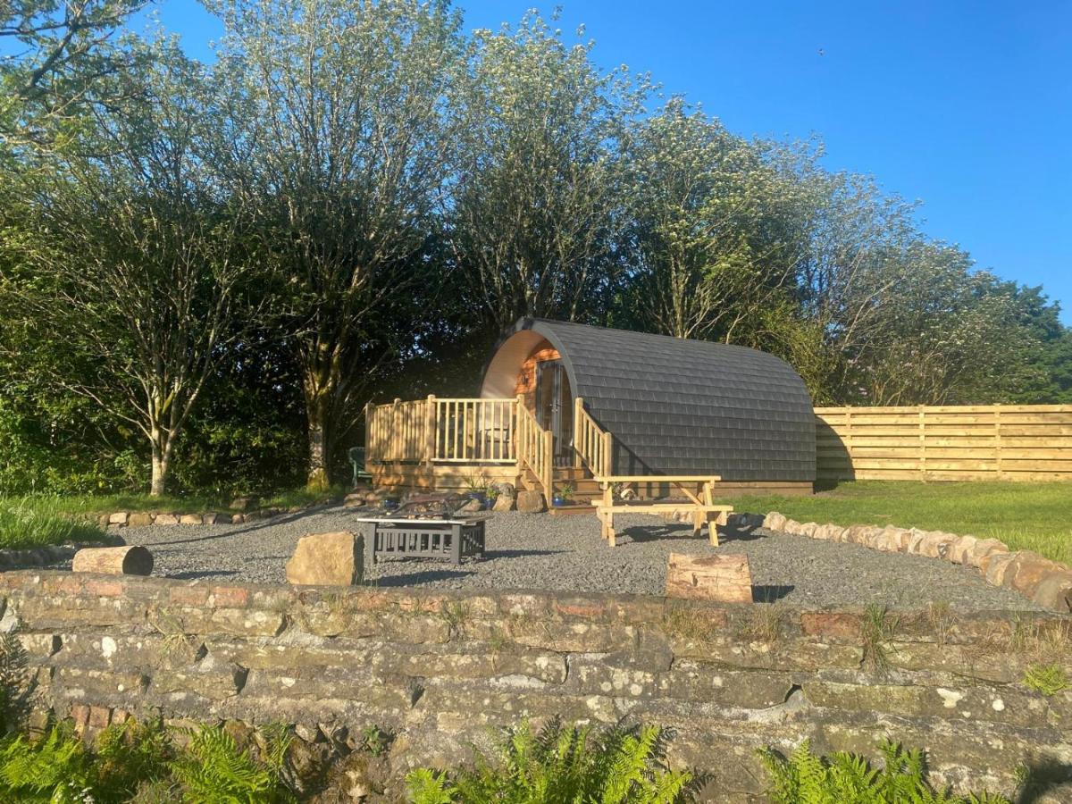 The Fells - Campsie Luxury Pods with hot tub - Housity