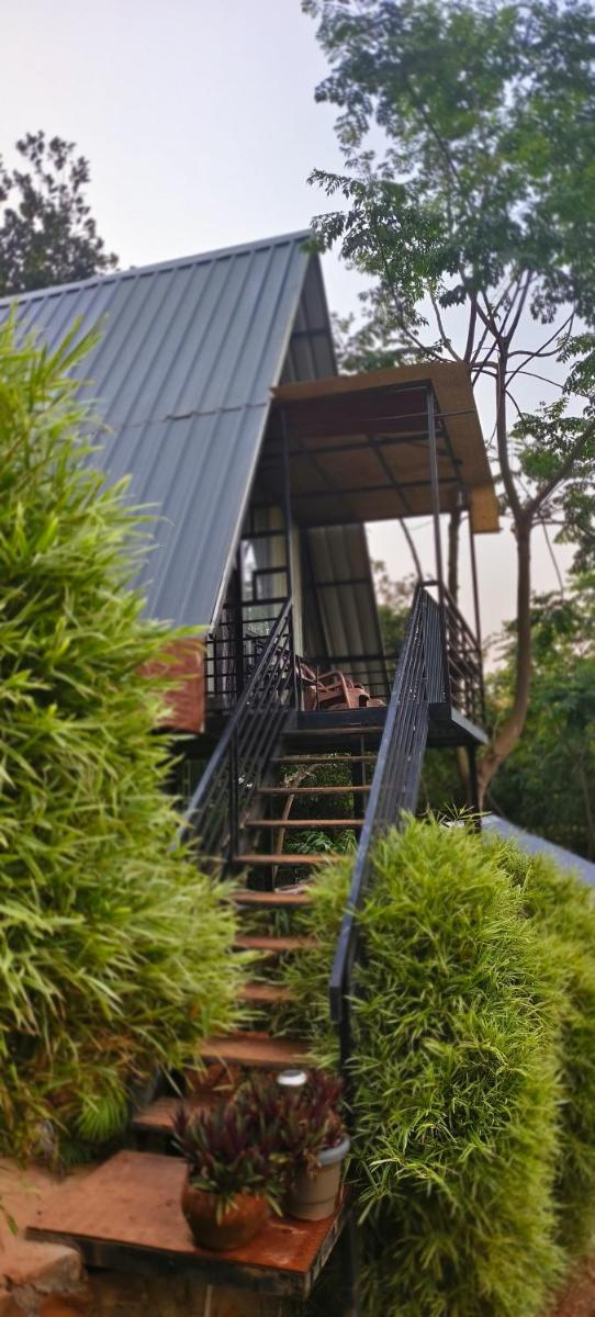 Angels Nest Home stay 2 Acra private plantation balconey SunRice view Near Ngarhole wild life , Kuruva island and Kabani safari Centre #Secure Stay Wayanad Kerala - Housity