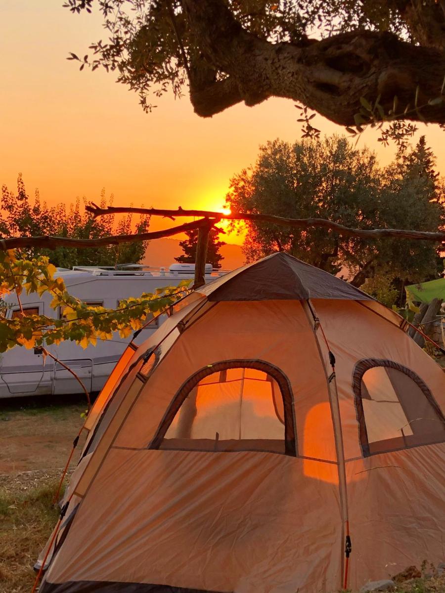 Kruje Camping - Housity