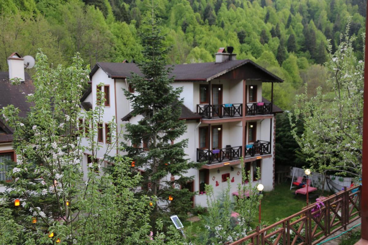 ABANT DORT MEVSİM KONAĞI HOSTEL - Housity