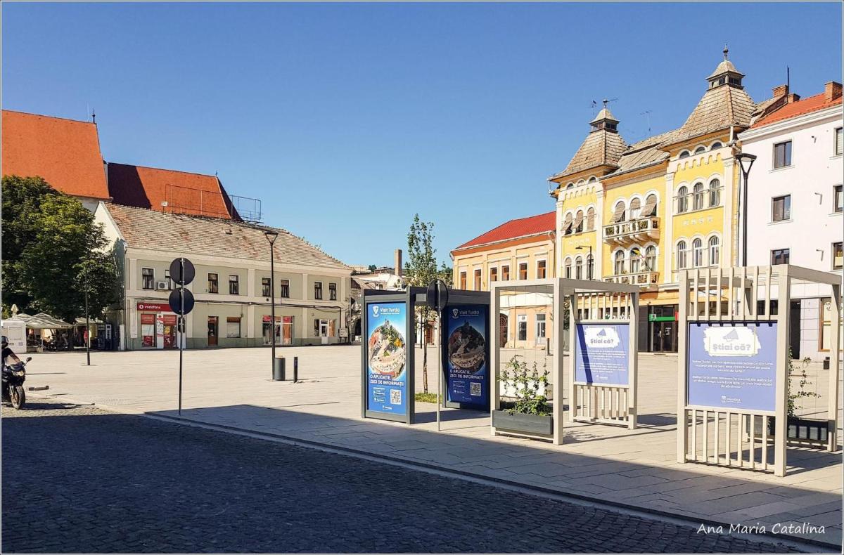 Casa Thaja Centru - Housity