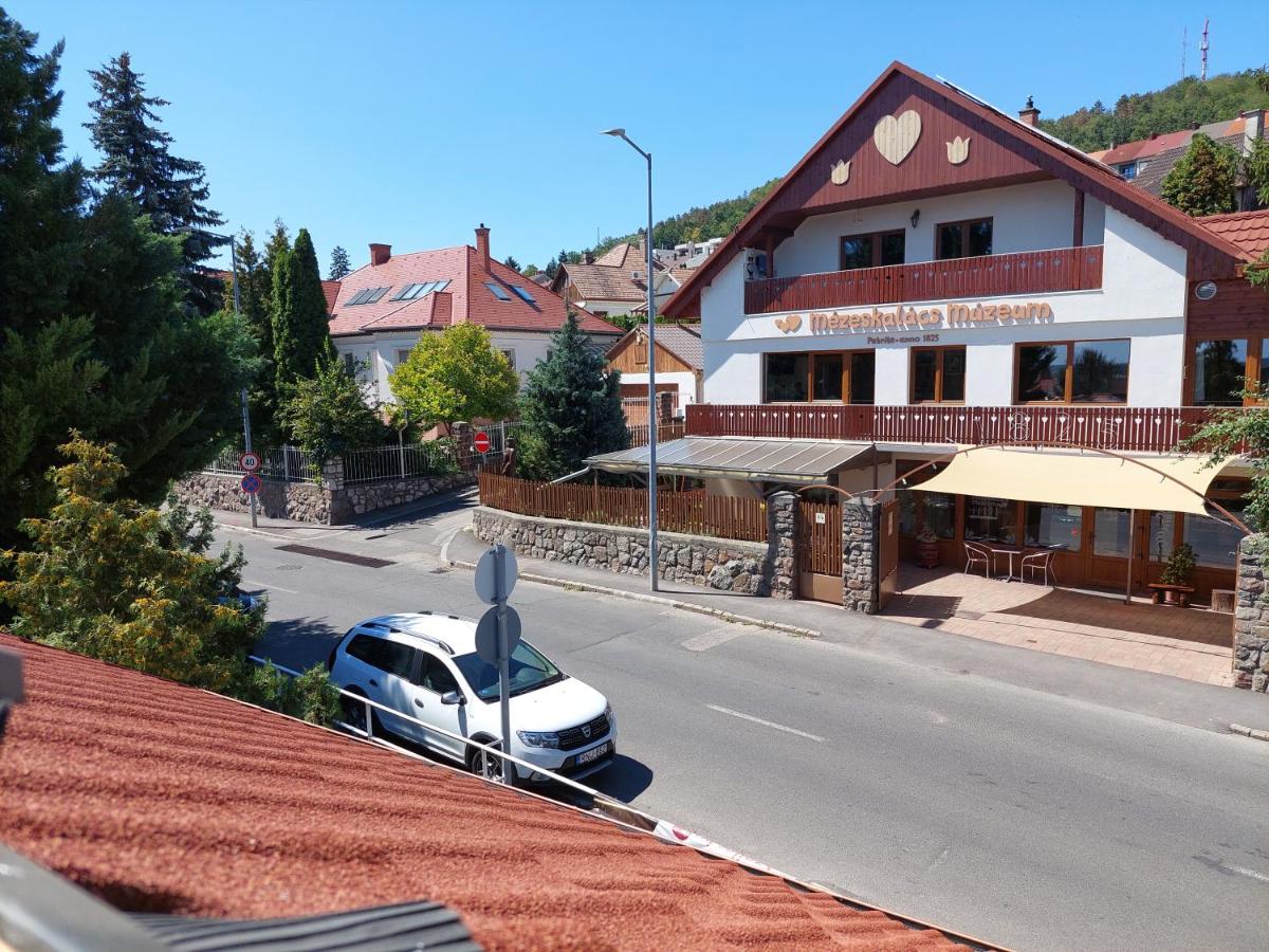 Royal Court Apartman - HU registered IntStud Apartman - Housity