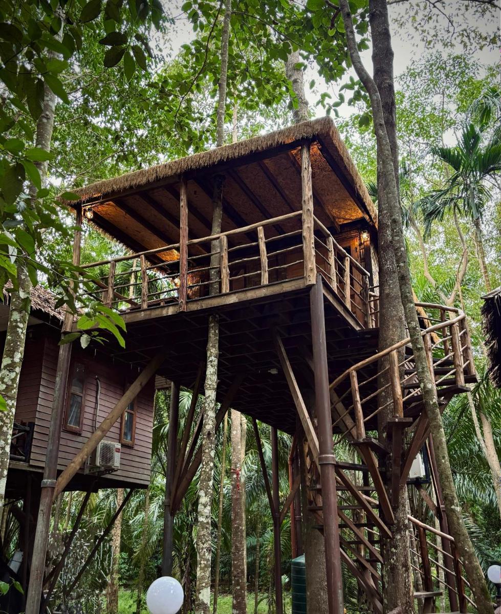 Khao Sok Paradise Resort - Housity