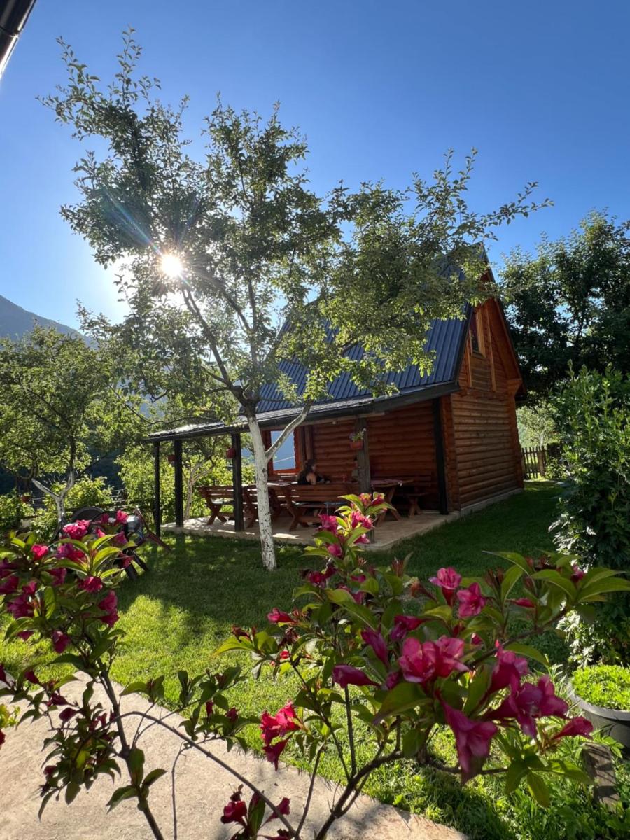 Guest House Kollata - Housity